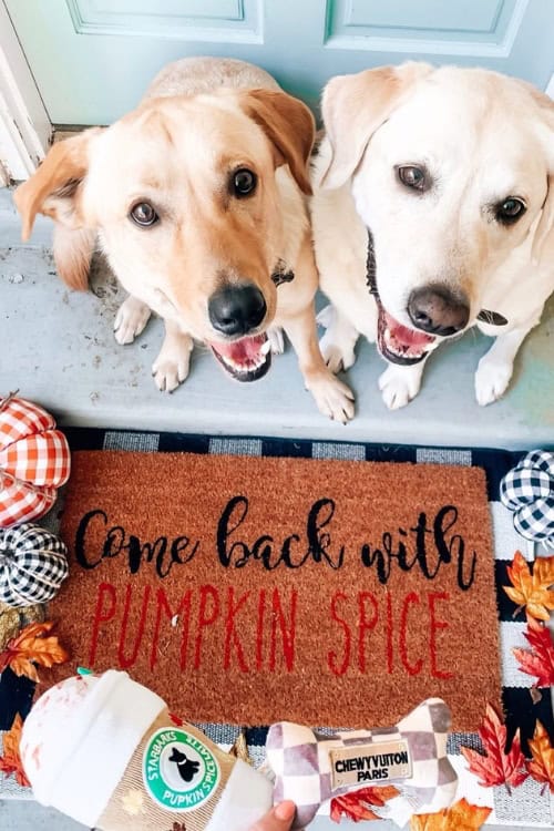 fall decor