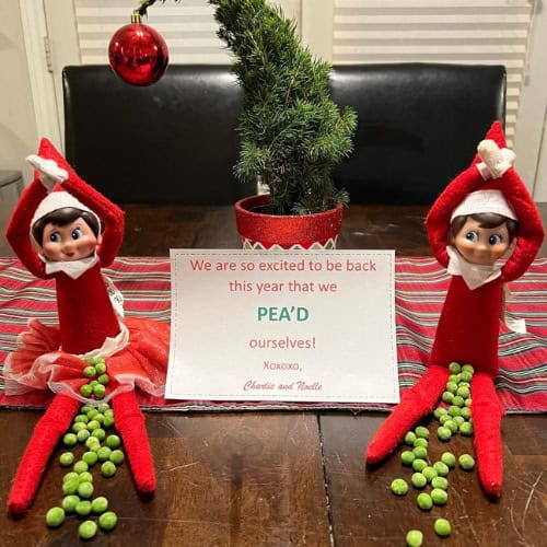 elf on the shelf ideas